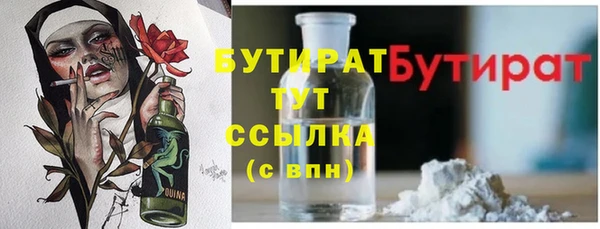 сатива Сатка