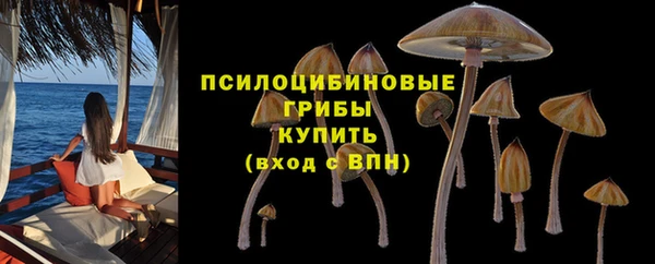 индика Верея