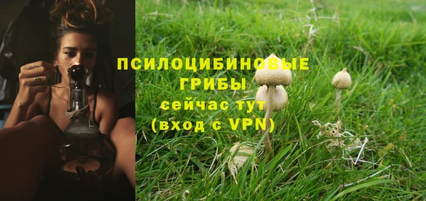 индика Верея