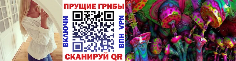 Псилоцибиновые грибы GOLDEN TEACHER  Исилькуль 